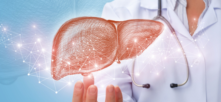 Liver