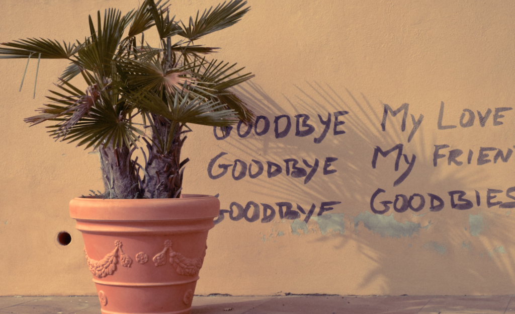 Goodbye